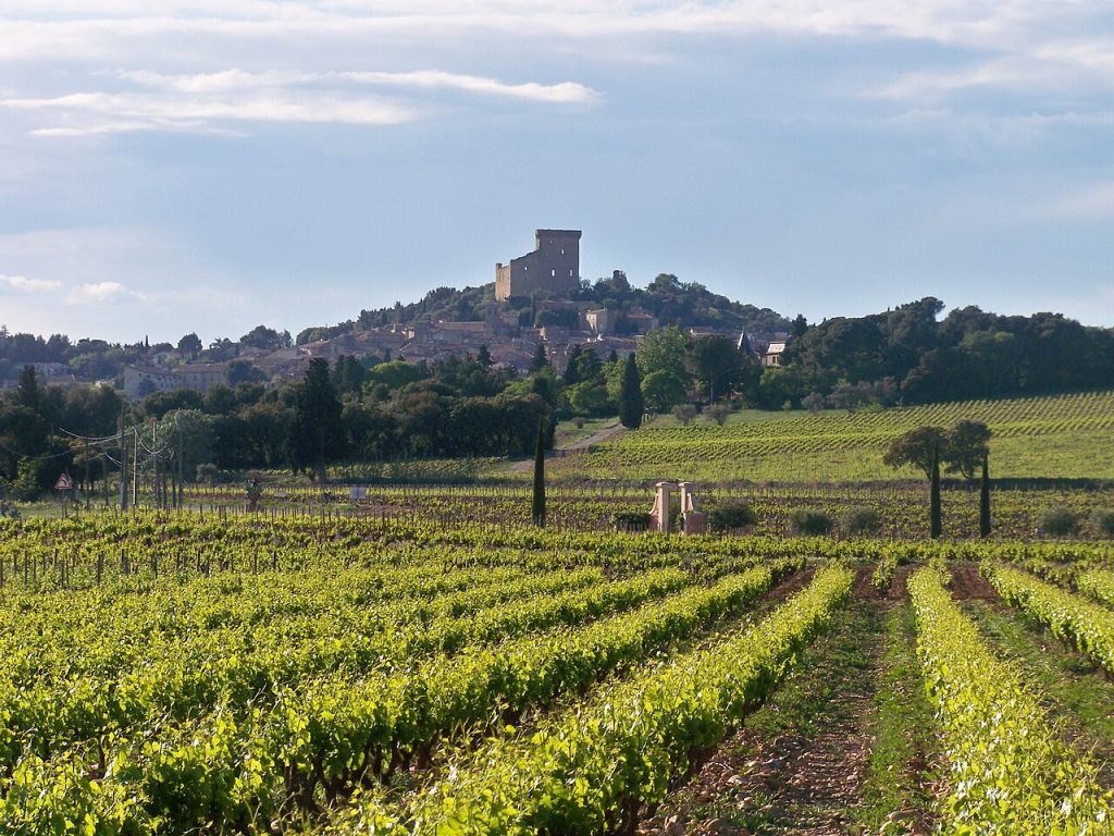 Le château de Châteauneuf-du-Pape dominant les vignes